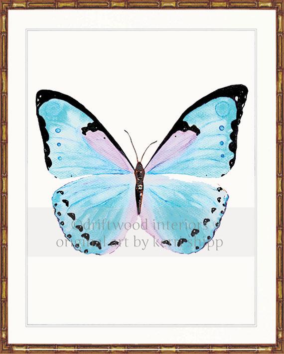 Butterfly in Aqua - "Petit Papillon"