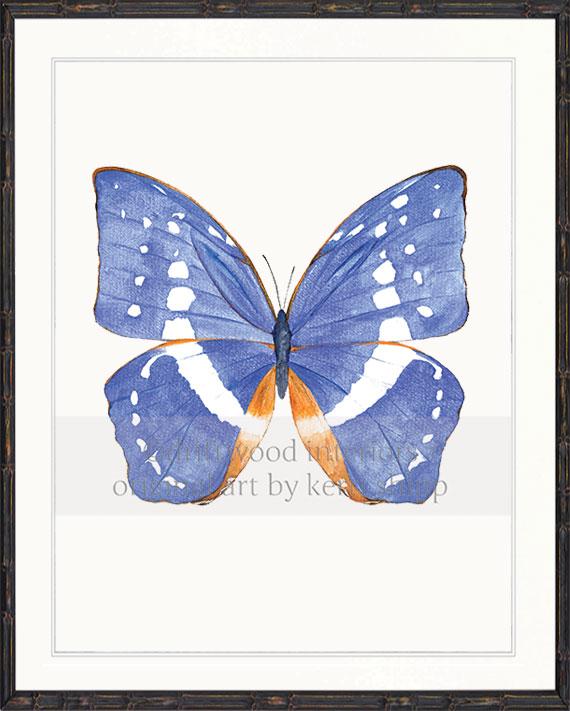 Butterfly in Cobalt