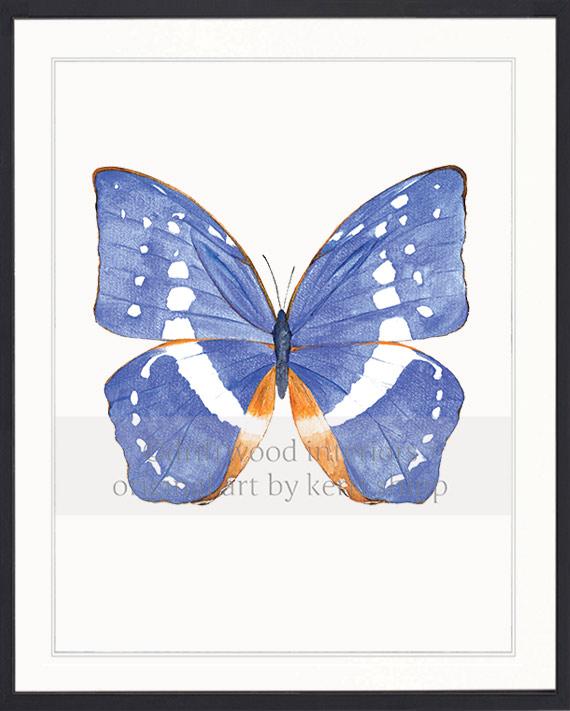 Butterfly in Cobalt