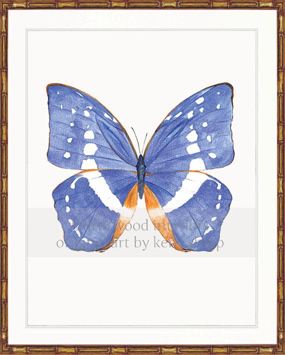 Butterfly in Cobalt