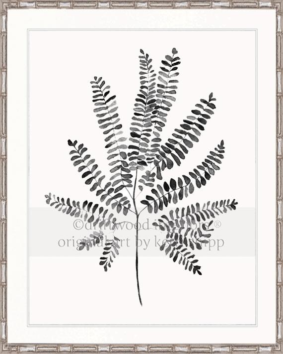 Charcoal Foliage I