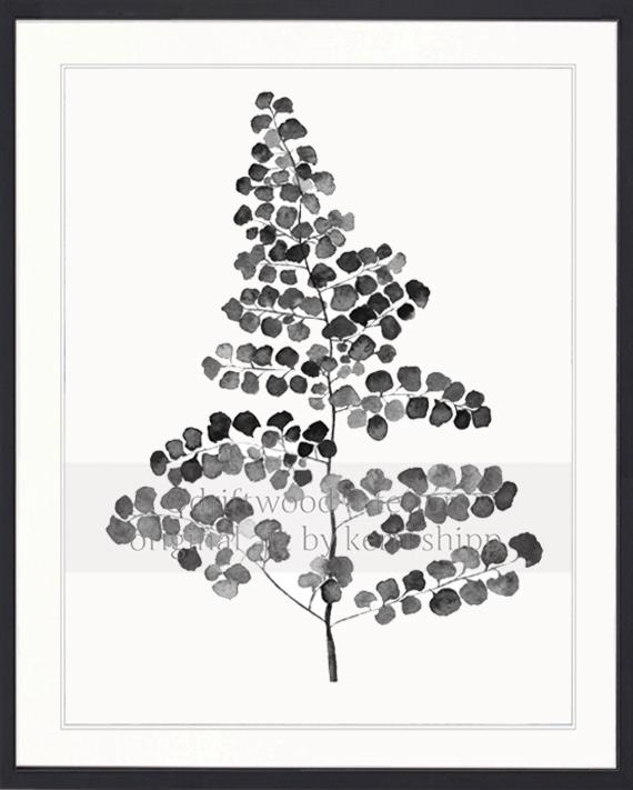 Charcoal Foliage III