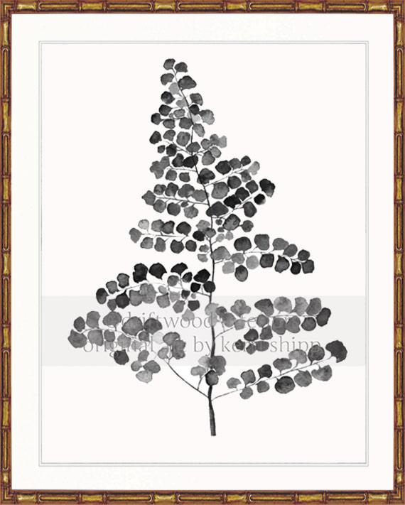 Charcoal Foliage III