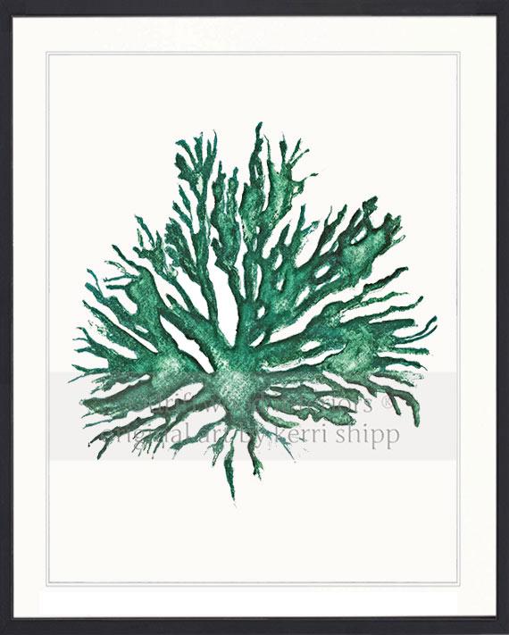 Sea Coral II in Emerald
