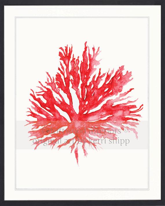 Sea Coral II in Ruby