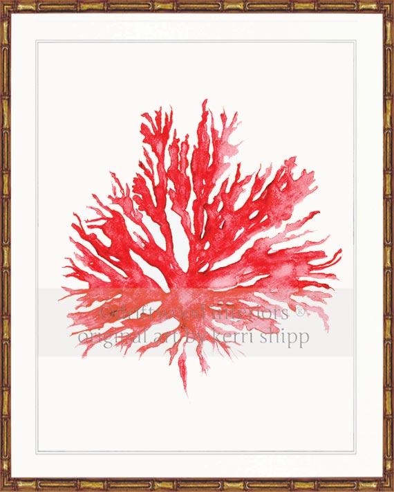 Sea Coral II in Ruby