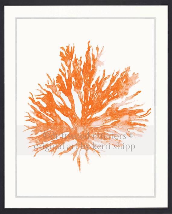 Sea Coral II in Tangerine