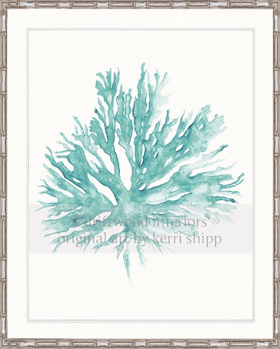 Sea Coral II in Woodlawn