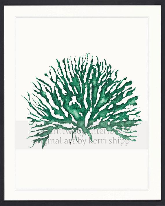 Wall Art Print - Sea Coral IV in Emerald Green in black timber frame - Driftwood Interiors