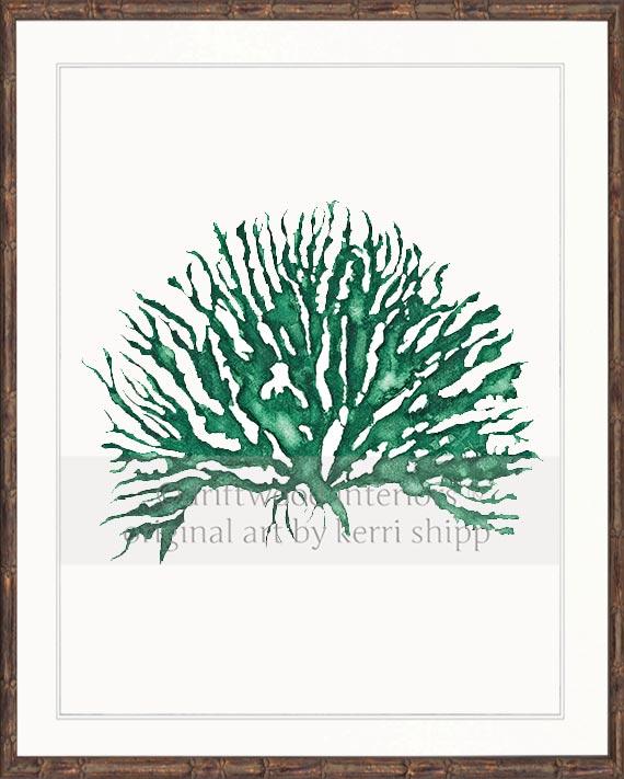 Wall Art Print - Sea Coral IV in Emerald Green in brown bamboo frame - Driftwood Interiors