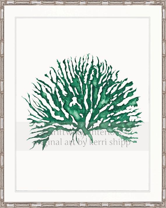 Wall Art Print - Sea Coral IV in Emerald Green in silver bamboo frame - Driftwood Interiors