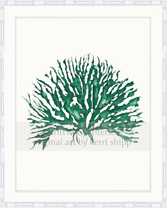 Wall Art Print - Sea Coral IV in Emerald Green in white bamboo frame - Driftwood Interiors