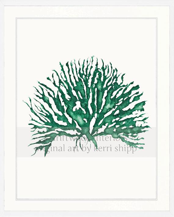 Wall Art Print - Sea Coral IV in Emerald Green in white timber frame - Driftwood Interiors
