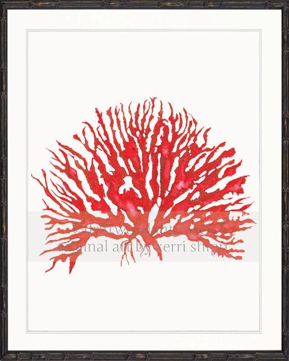 Sea Coral IV in Ruby