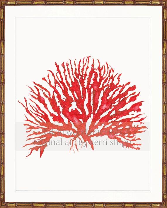 Sea Coral IV in Ruby