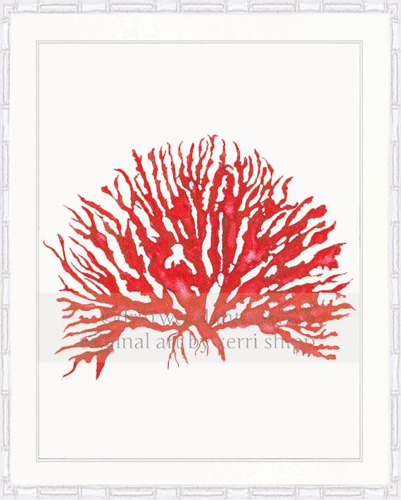 Sea Coral IV in Ruby