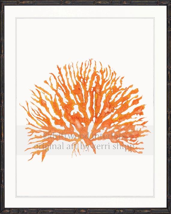 Sea Coral IV in Tangerine