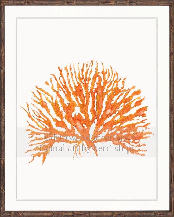 Sea Coral IV in Tangerine