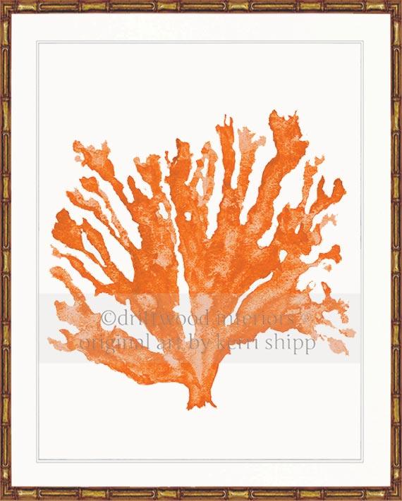 Sea Coral in Tangerine