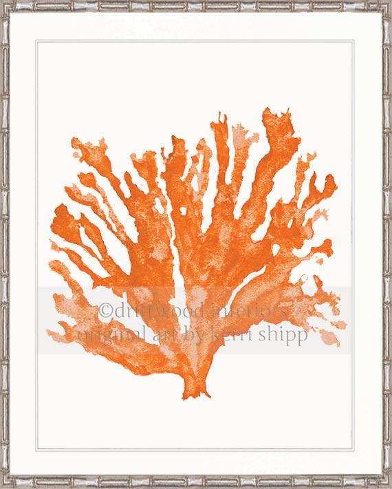 Sea Coral in Tangerine