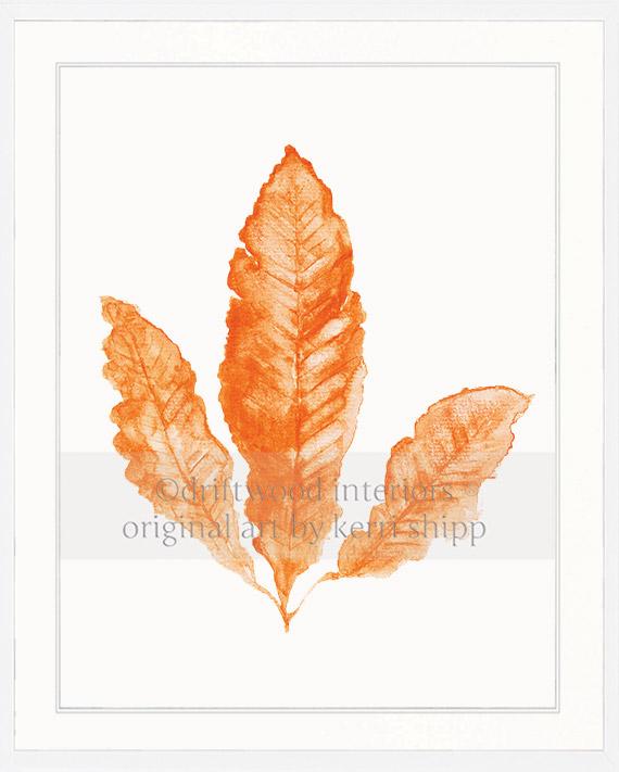 Coral Wall Art Print - Sea Fan in Tangerine in white timber frame - Driftwood Interiors