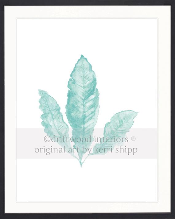 Sea Fan II in Woodlawn