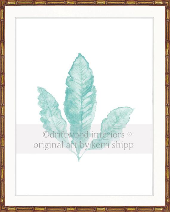 Sea Fan II in Woodlawn