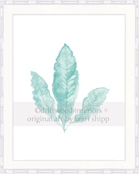 Sea Fan II in Woodlawn