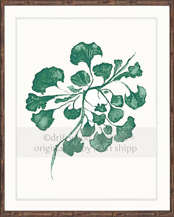 Sea Fan IV in Emerald