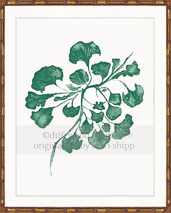 Sea Fan IV in Emerald