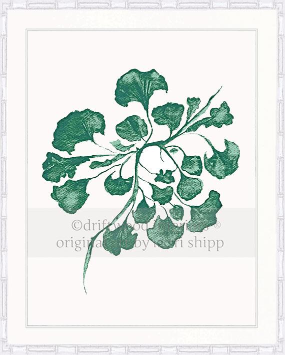 Sea Fan IV in Emerald