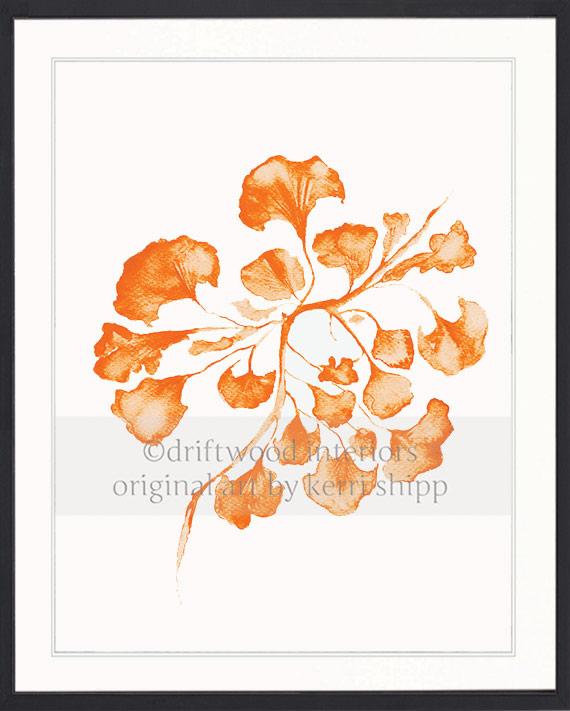 Sea Fan IV in Tangerine