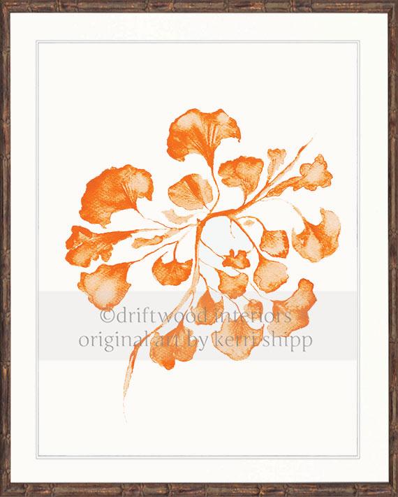 Sea Fan IV in Tangerine