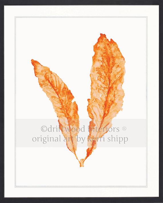 Sea Fan in Tangerine