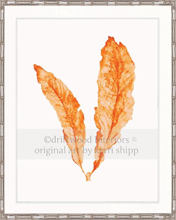 Sea Fan in Tangerine