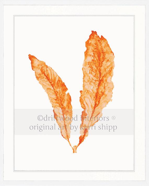 Sea Fan in Tangerine