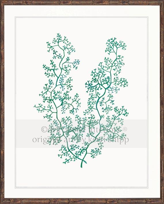 Sea Fern II in Emerald