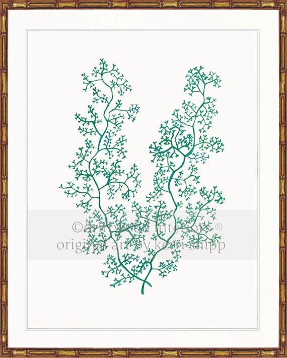 Sea Fern II in Emerald