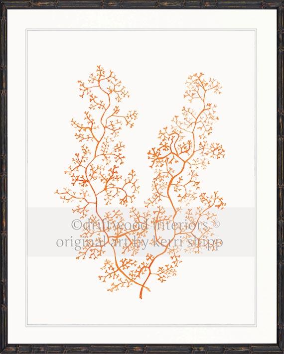 Sea Fern II in Tangerine