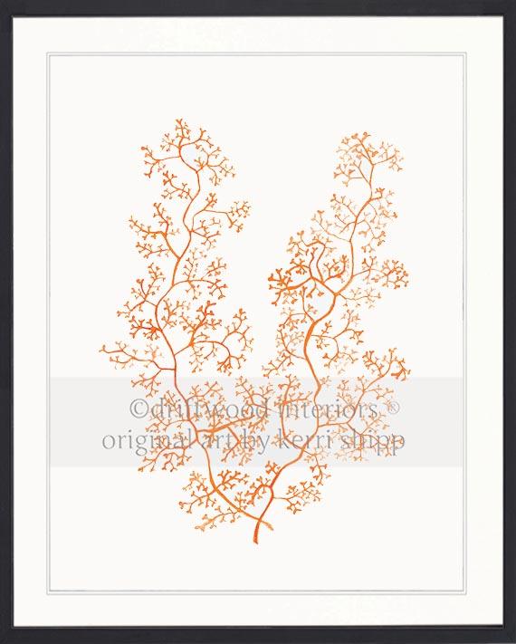 Sea Fern II in Tangerine