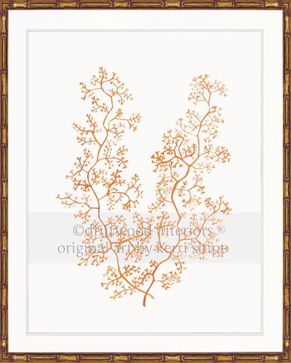 Sea Fern II in Tangerine