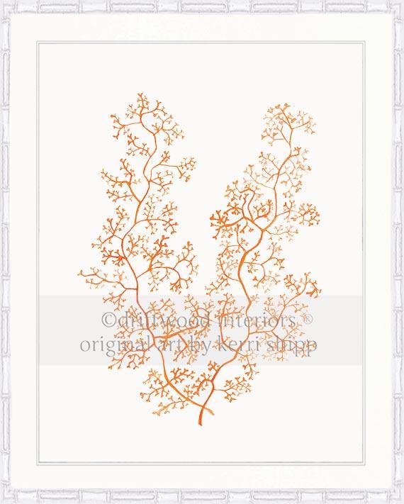 Sea Fern II in Tangerine