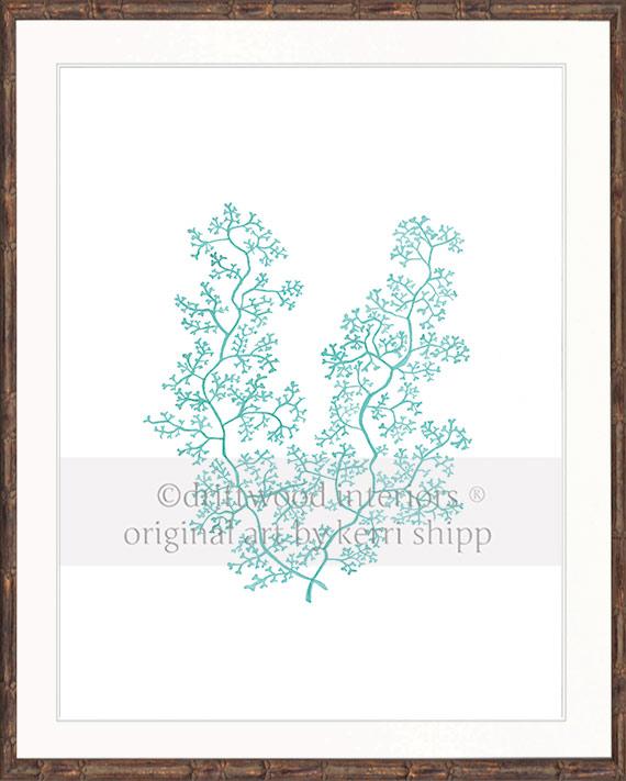 Sea Fern II in Woodlawn