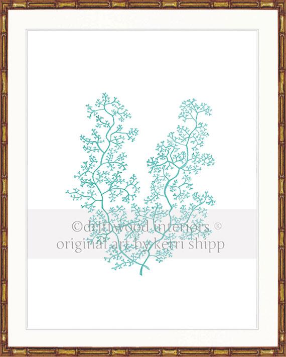 Sea Fern II in Woodlawn