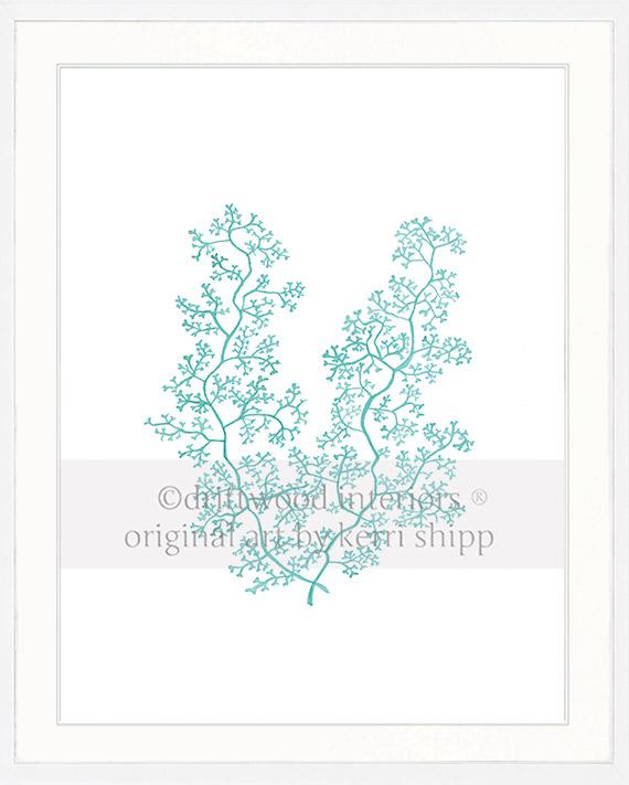 Sea Fern II in Woodlawn