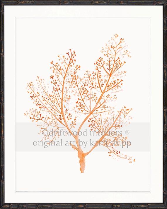 Sea Fern in Tangerine