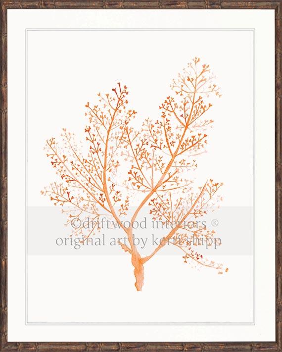 Sea Fern in Tangerine