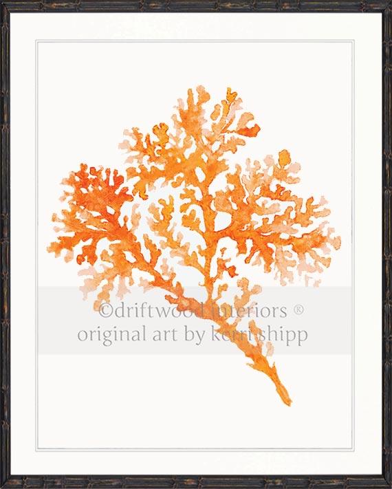 Seagrass in Tangerine