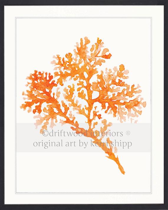 Seagrass in Tangerine