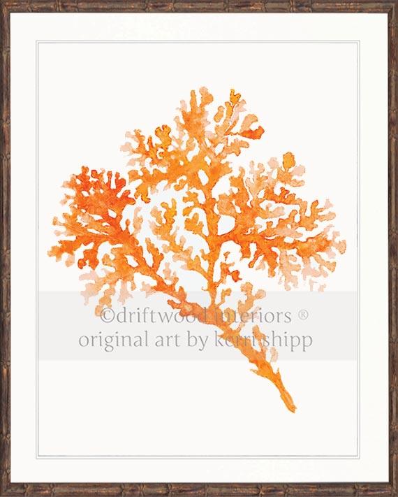 Seagrass in Tangerine